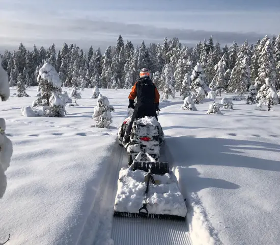 230218 2 Svenska Cupen Umeå Cecilia Rydberg Umeå OK