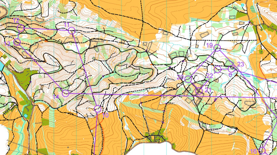mtbo långdistans herrar