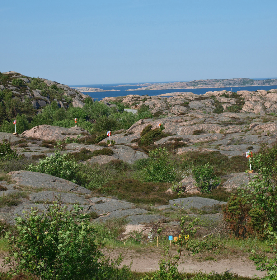 Luriga PreO-kontroller i Lysekil.