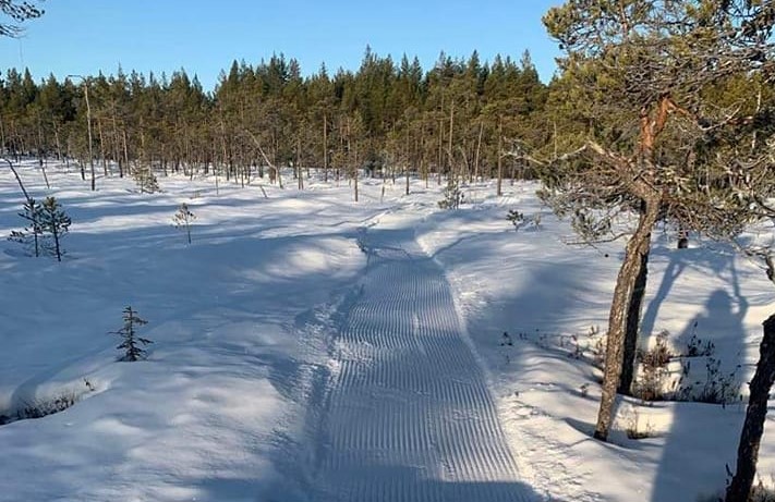 Skoterspår på myr.