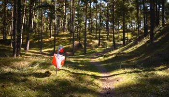 SOFT Kontroll I Skog 01