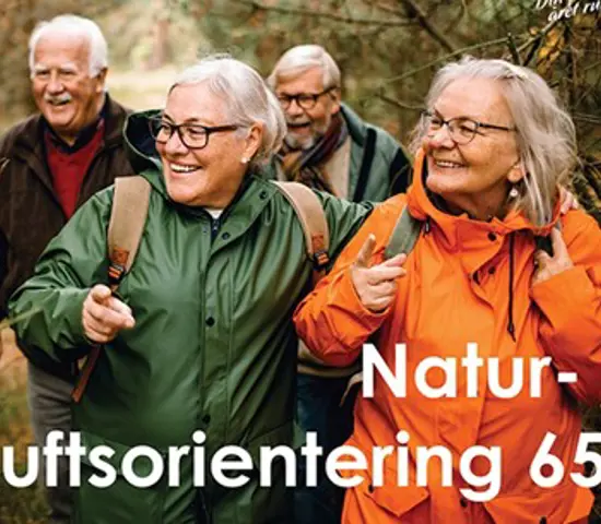 65+