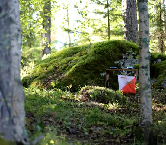 Kontroll i skog