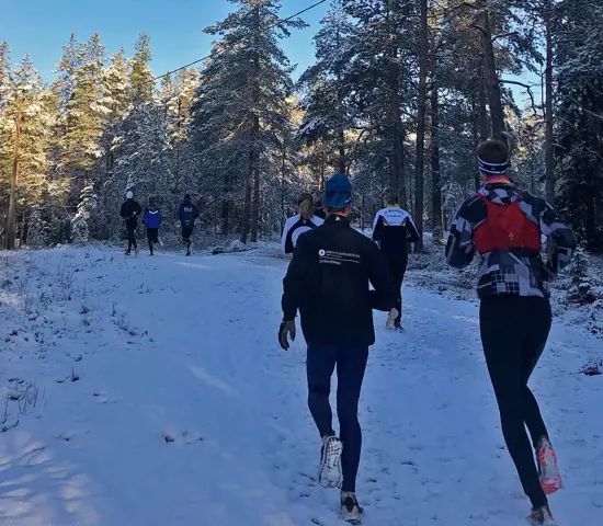 Ett gäng från elitmiljön i Umeå springer på en snötäckt stig i skogen.