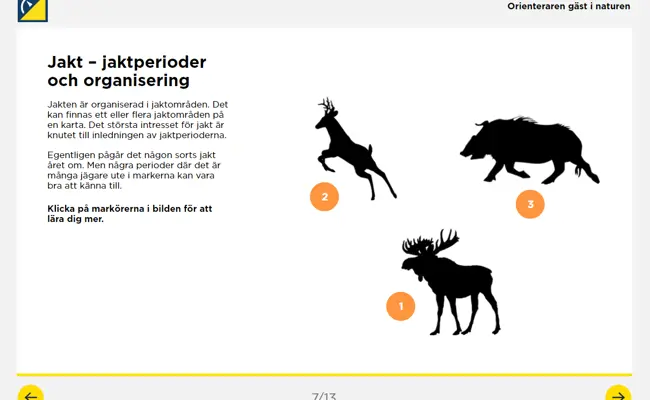 Skärmbild 20221229 Orienterarengästinaturenexempelsida Svenskaorienteringsförbundet
