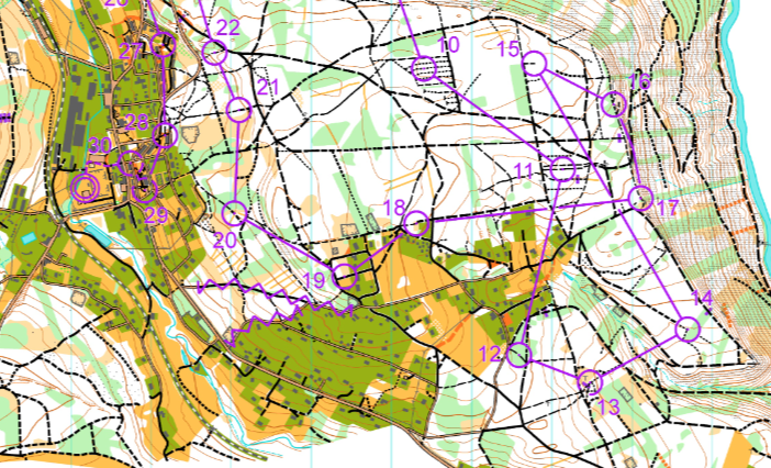 mtbo medel herr