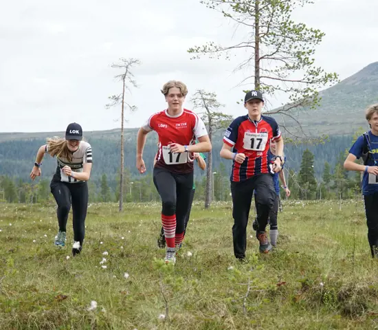 Massa orientering och nya vänner = Rikslägret sommar
