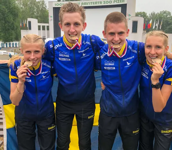 Brons Jvm 1