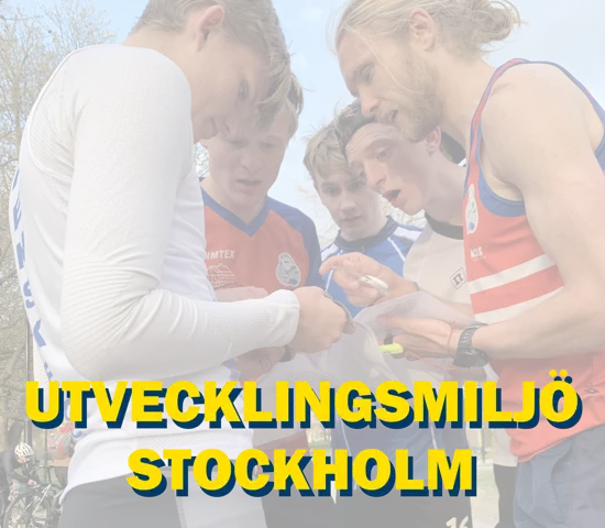 Utvecklingsmiljön VINTER 2024