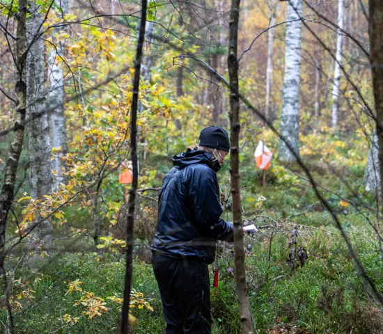 Preo Stafett SM 15 Okt 2023 Hugo Mattsson 9825