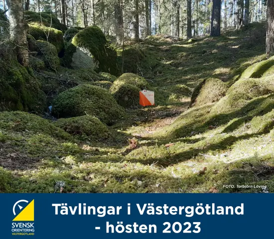 Tävlingsinfo Bild Web