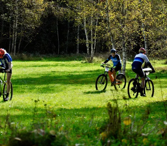 241003 MTBO