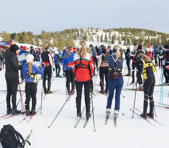 Vinter Skidorientering