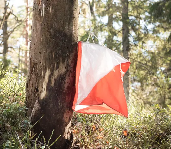 Skärm I Skog