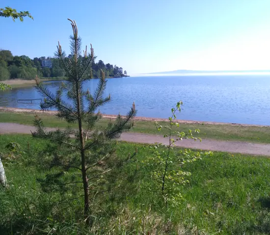 Vänern Lidköping